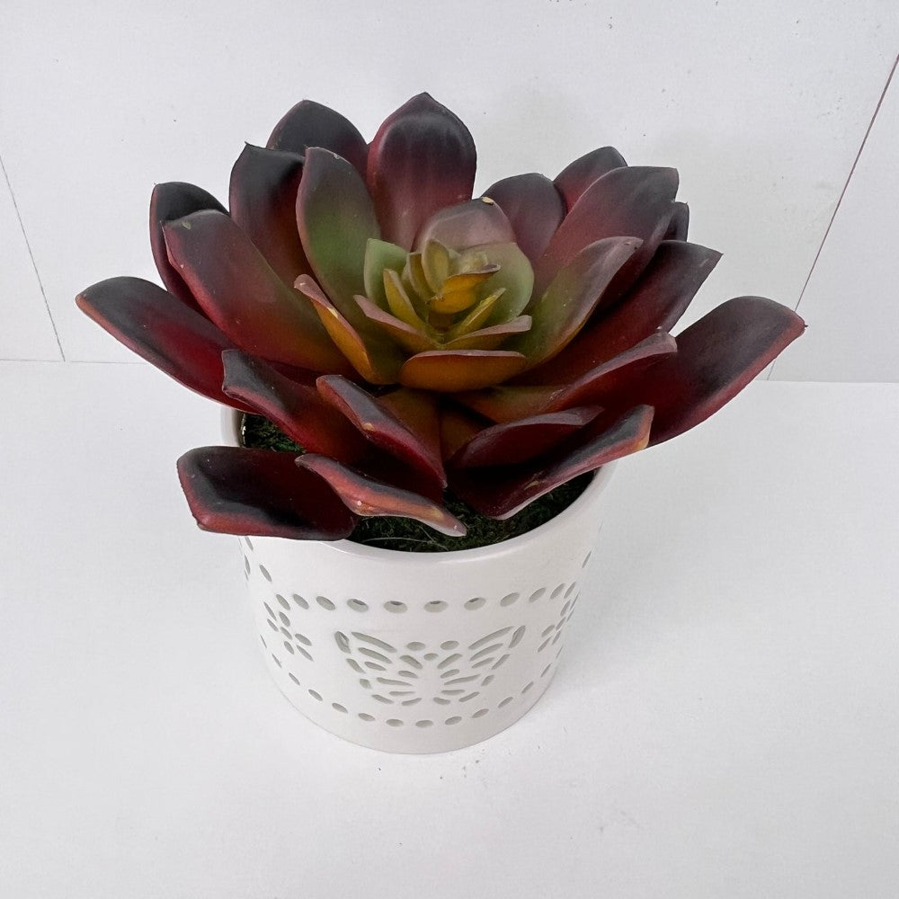 Beautiful Succulent in Ceramic Pot - Artificial