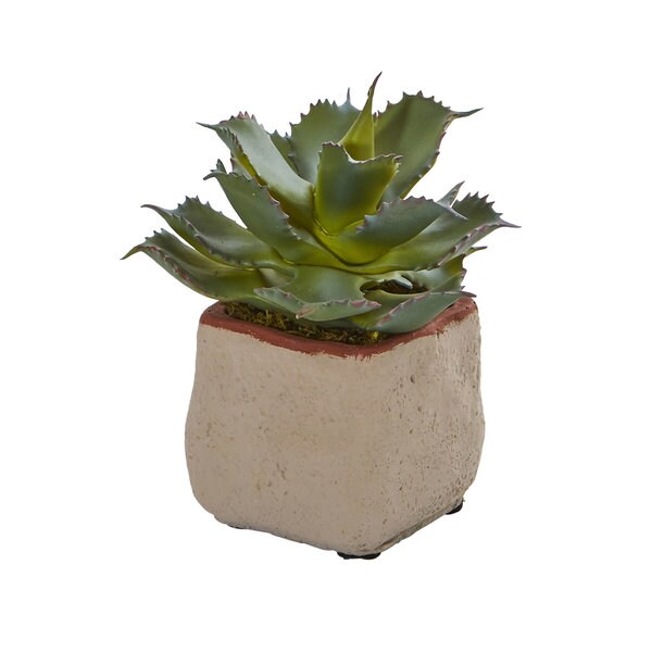 Mixed Succulent Artificial Plant (Set of 4)