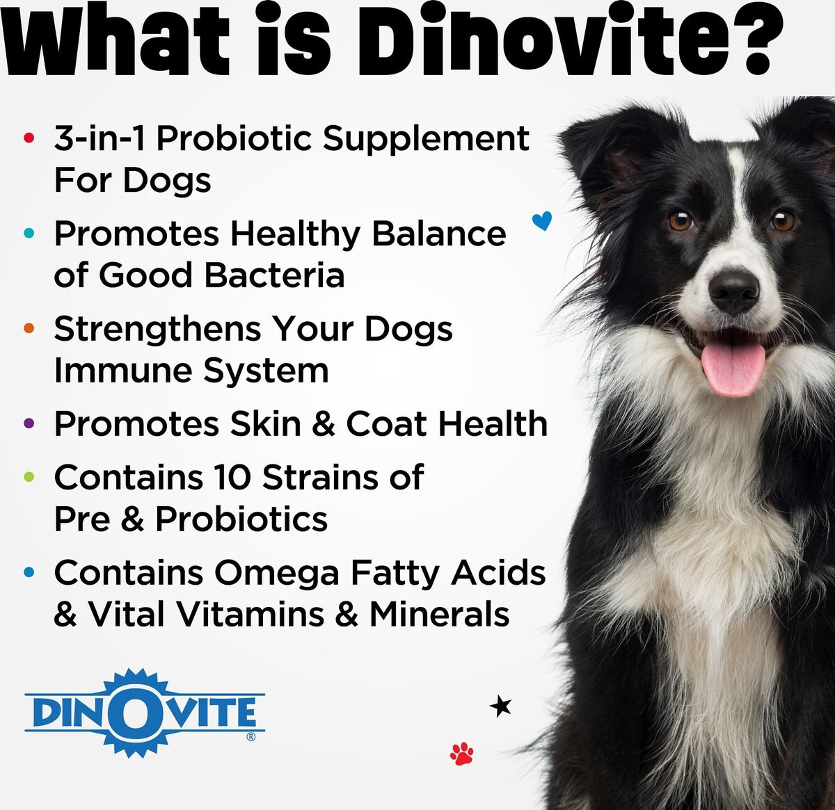 Dinovite Small Dog Supplement