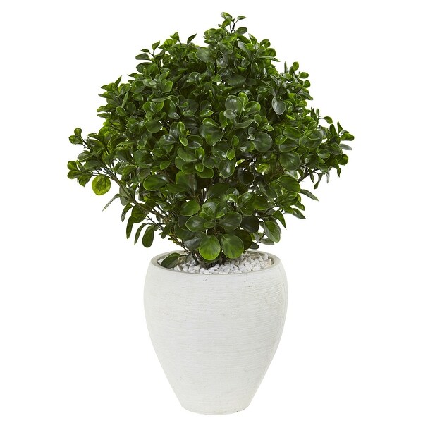 32 Peperomia Artificial Plant in White Planter UV Resistant (Indoor/Outdoor)