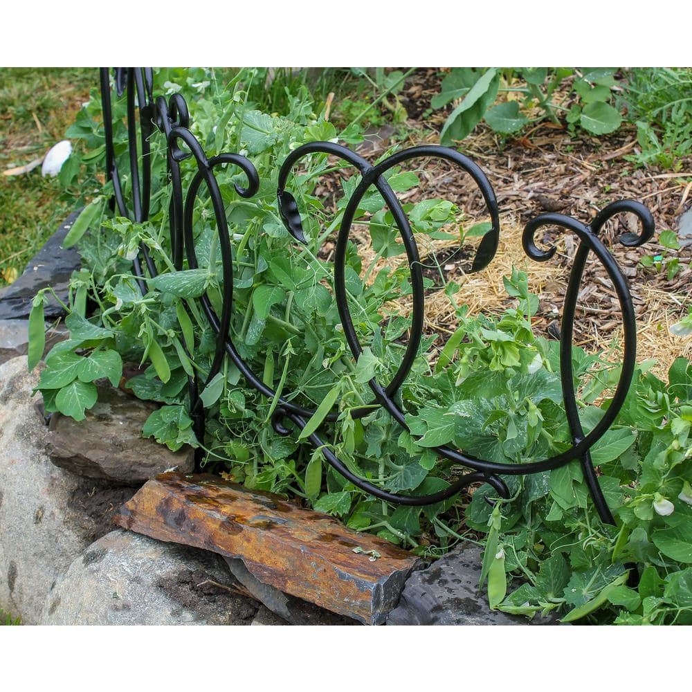 ACHLA DESIGNS 22 in. Tall Black Powder Coated Iron Scroll Border Garden Fence Section (4-Pack) DFS-02-4