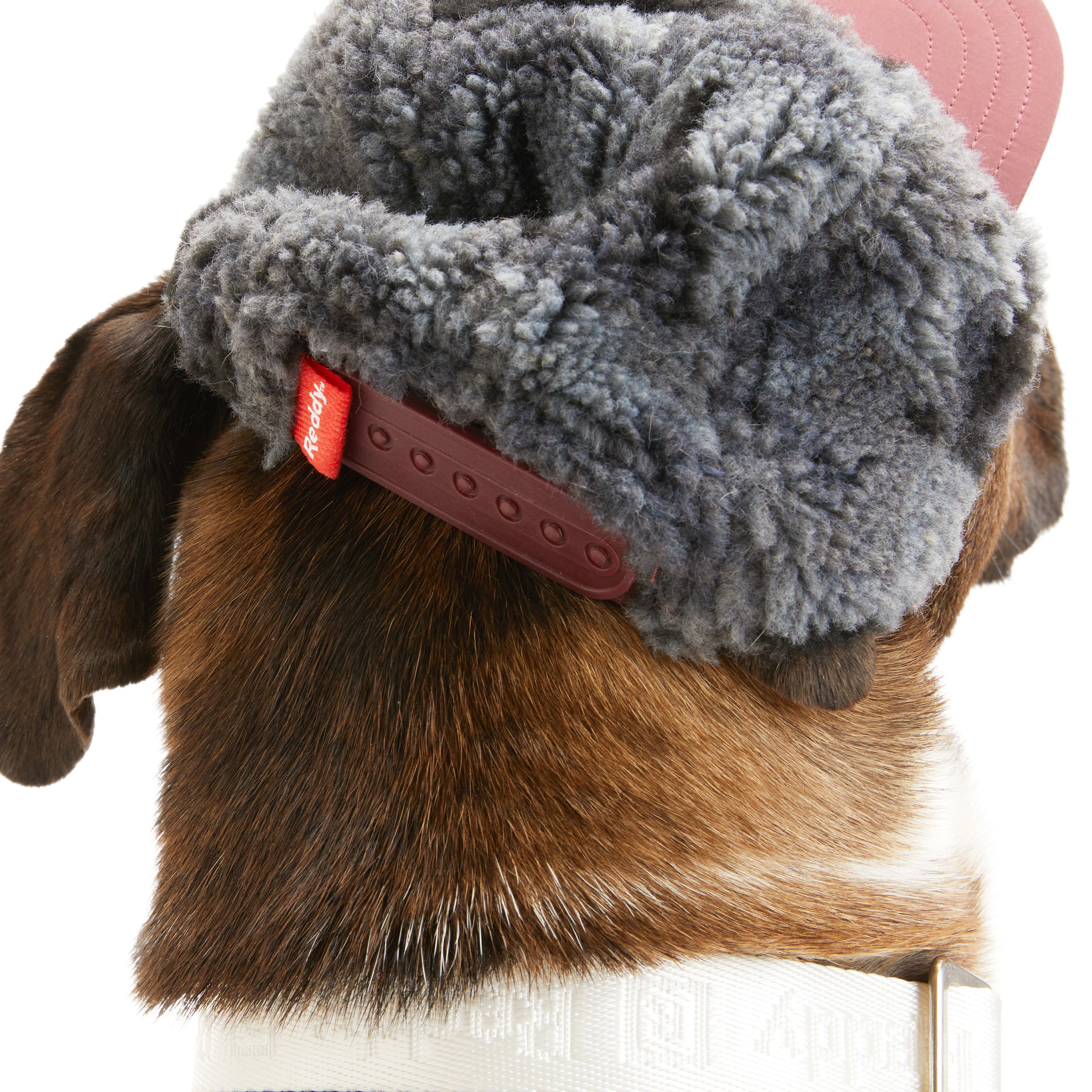 Reddy Sherpa Dog Hat， X-Small/Small