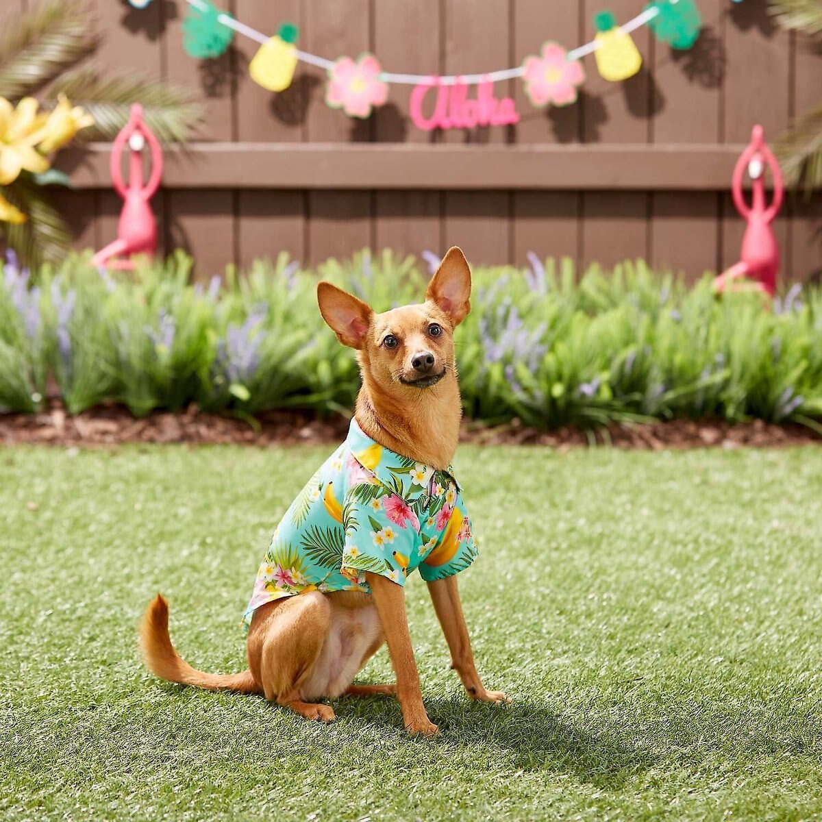 Frisco Pineapple Hawaiian Camp Dog and Cat Shirt