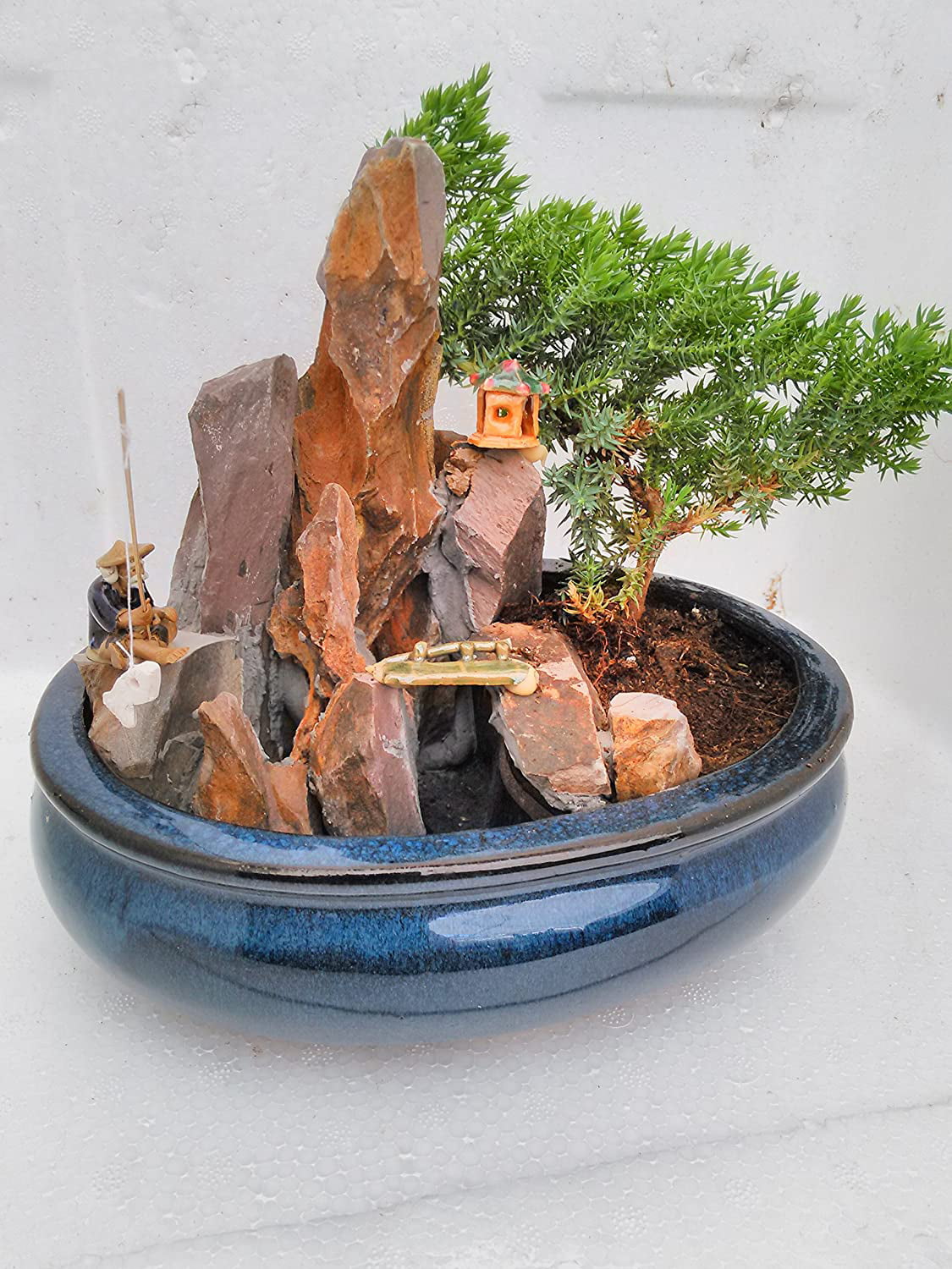 9GreenBox - BONSAI Juniper Tree Zen Garden With Pool Fishman