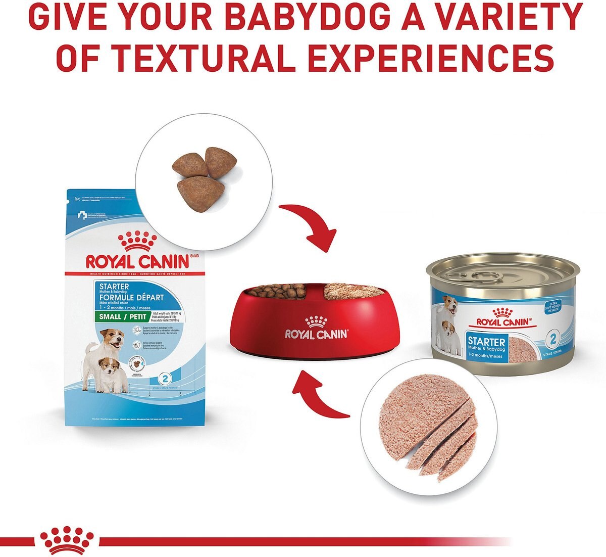 Royal Canin Size Health Nutrition Small Starter Mother and Babydog Dry Dog Food