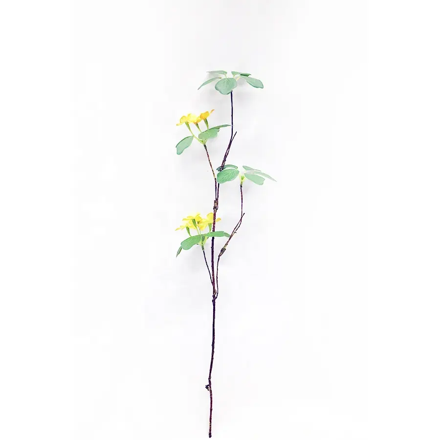 Supplies 75cm long artificial ficus deltoidea spray