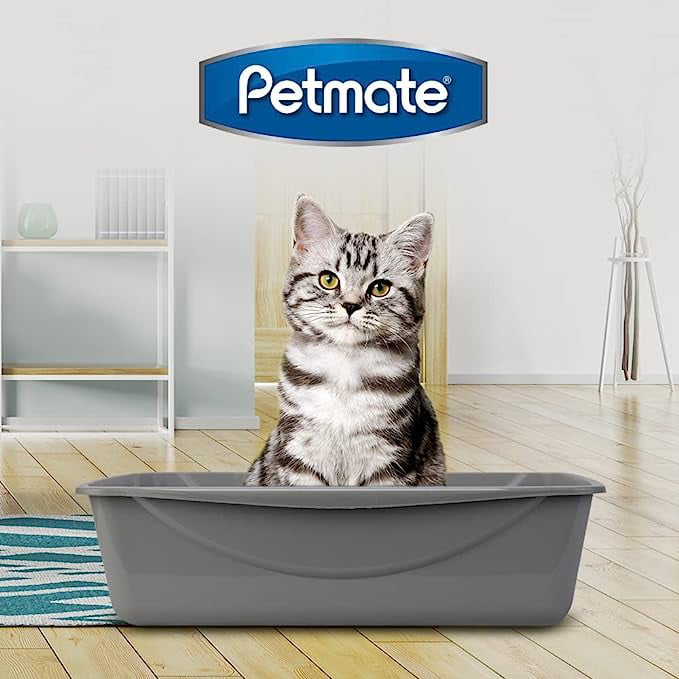 Petmate Basic Cat Litter Pan， Litter Box， Jumbo， Gray