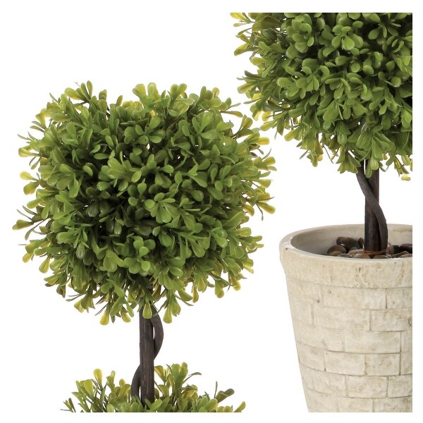 Potted Spring Boxwood Dbl Ball Topiary 24