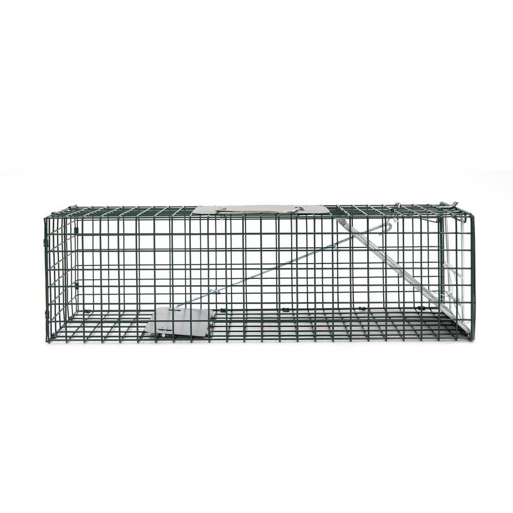 HOMESTEAD Small 1-Door Professional Humane Steel Live Animal Cage Trap for Squirrels Rabbits Chipmunks Skunks Rats and Weasels 410-344-0111