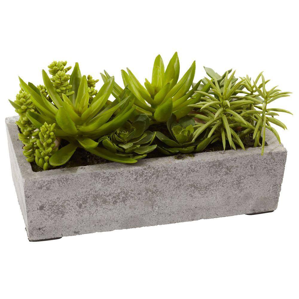 Nearly Natural Artificial Succulent Garden with Concrete Planter 4841