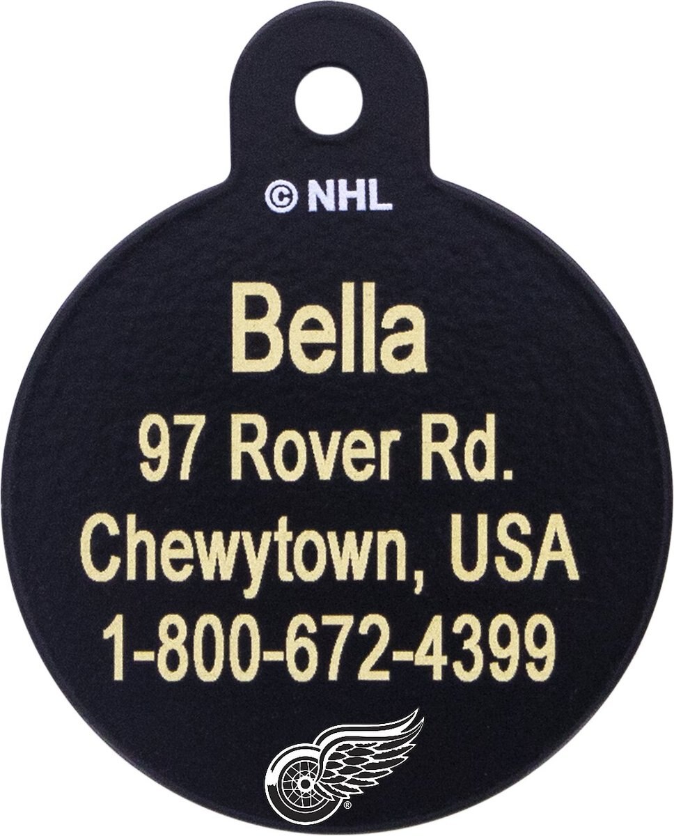 Quick-Tag NHL Circle Personalized Dog and Cat ID Tag， Large