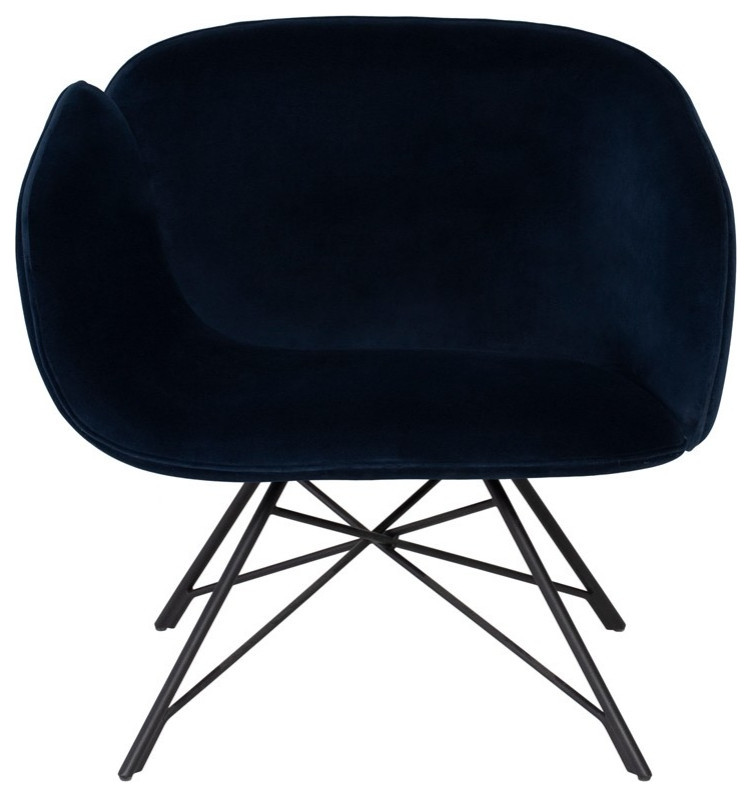 Diantha Occasional Chair Dusk Velour   Midcentury   Armchairs And Accent Chairs   by V.S.D Furniture  Houzz