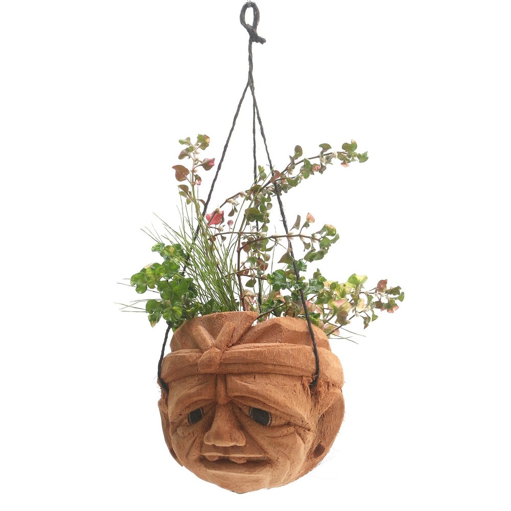 Novica Handmade Dont Worry Coconut Shell Hanging Planter