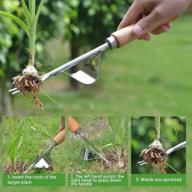 New Arrival Manual Hand Weeder Sturdy Chrome Plated Steel Compact Garden Weed Pull Tool for Yard Lawn and Farm