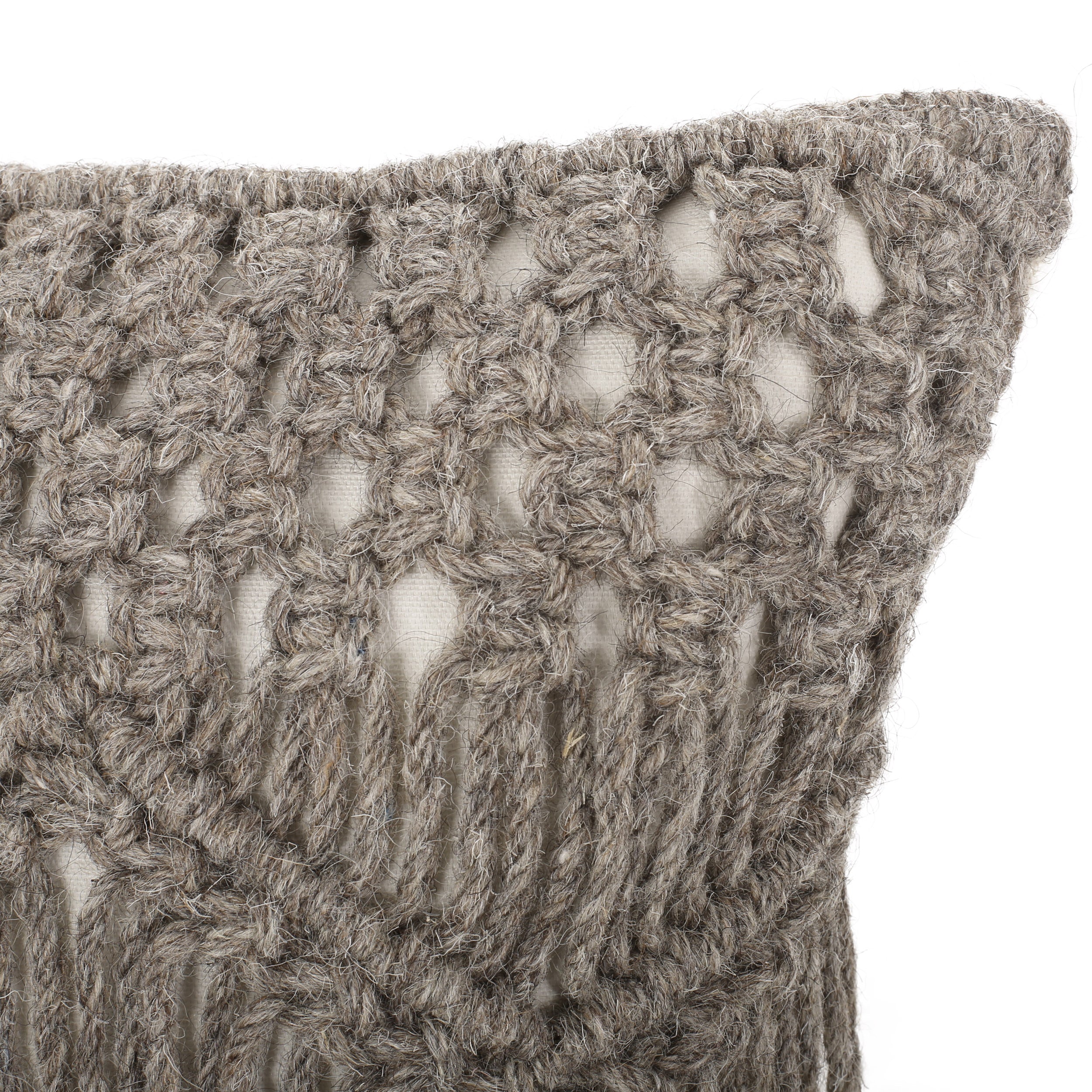 Isaiah Macrame Boho Throw Pillow