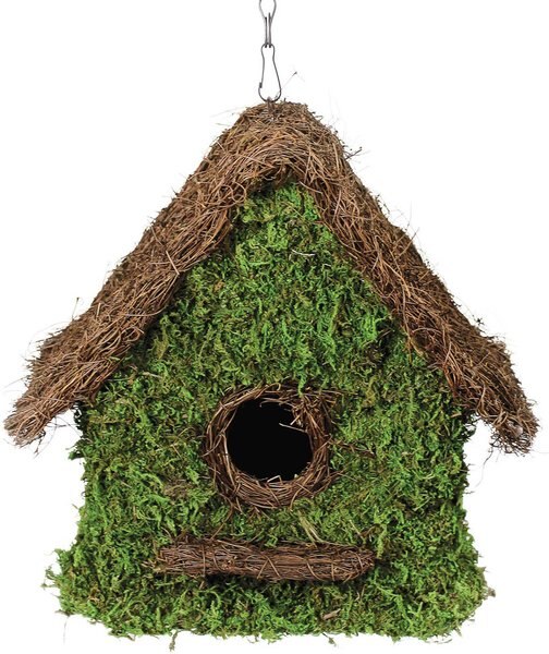 Galapagos Maison Woven Birdhouse， Fresh Green