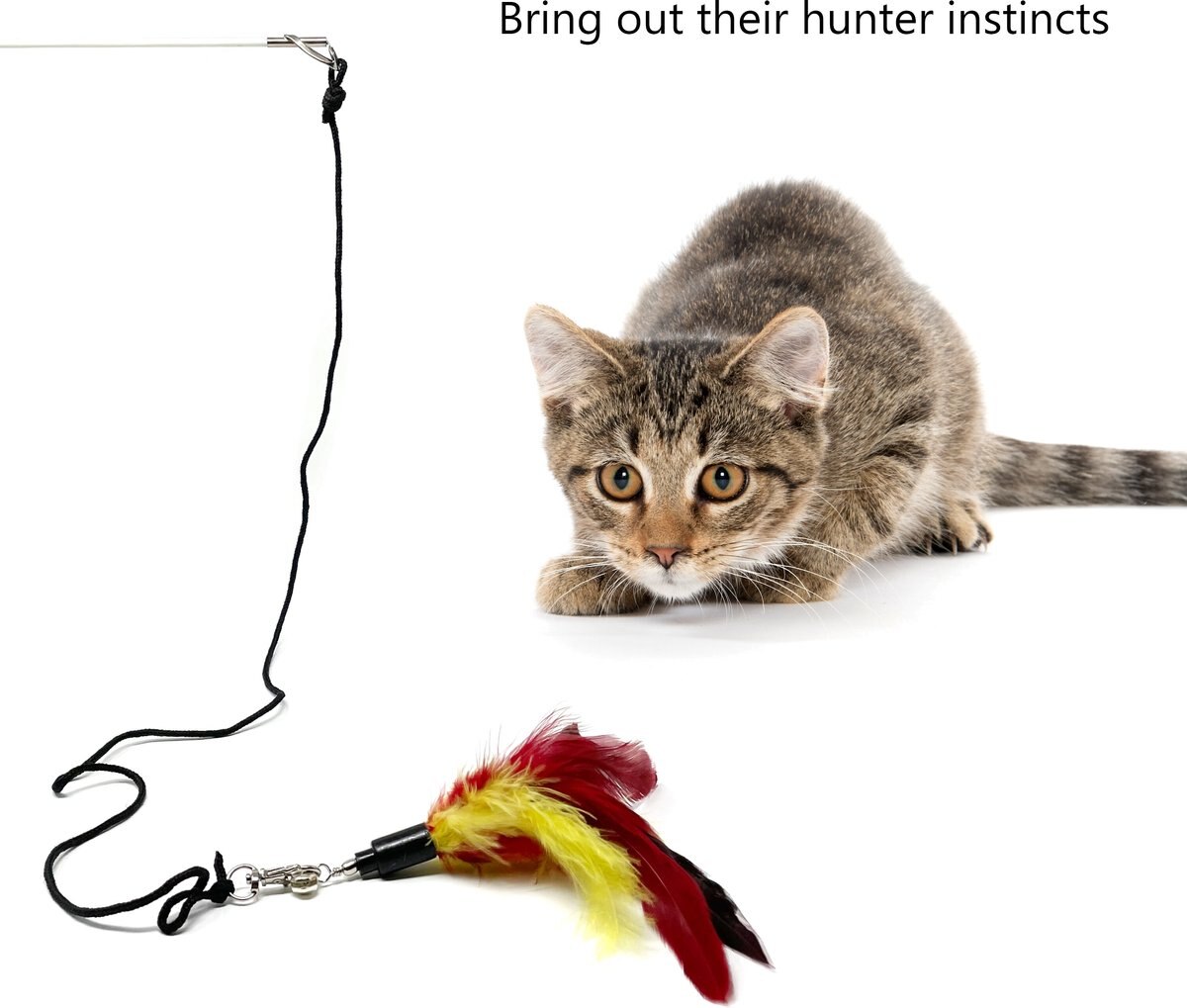 Pet Fit For Life 4-Piece Bundle Interactive Swimming Fish + Feather Wand Cat Toy