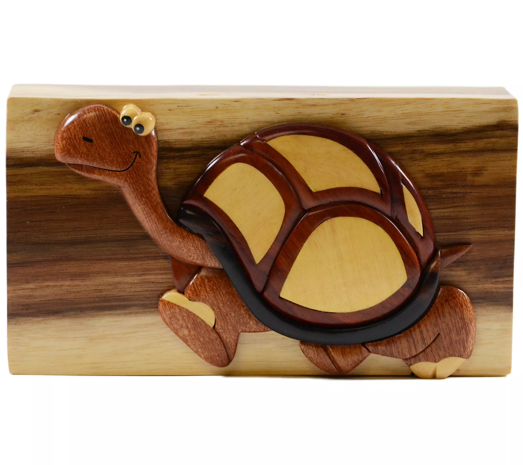 Carver Dan's A Turtle's Pace Puzzle Box with Magnet Closures