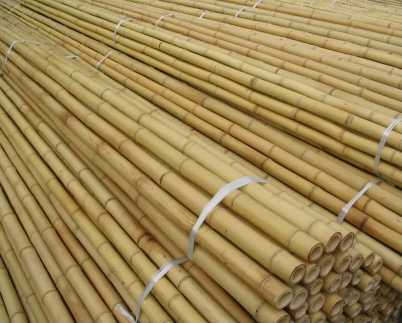 SUPPLYING OF BEST BAMBOO CANES FROM VIET NAM (WHATSAPP +84 845 639 639)