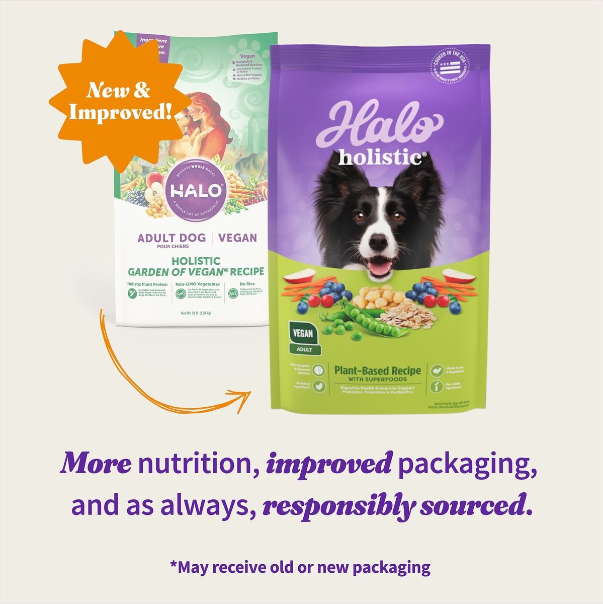 Halo Holistic Vegan Dog Food Complete Digestive Health Plant-Based Recipe with Superfoods Adult Formula Dry Dog Food