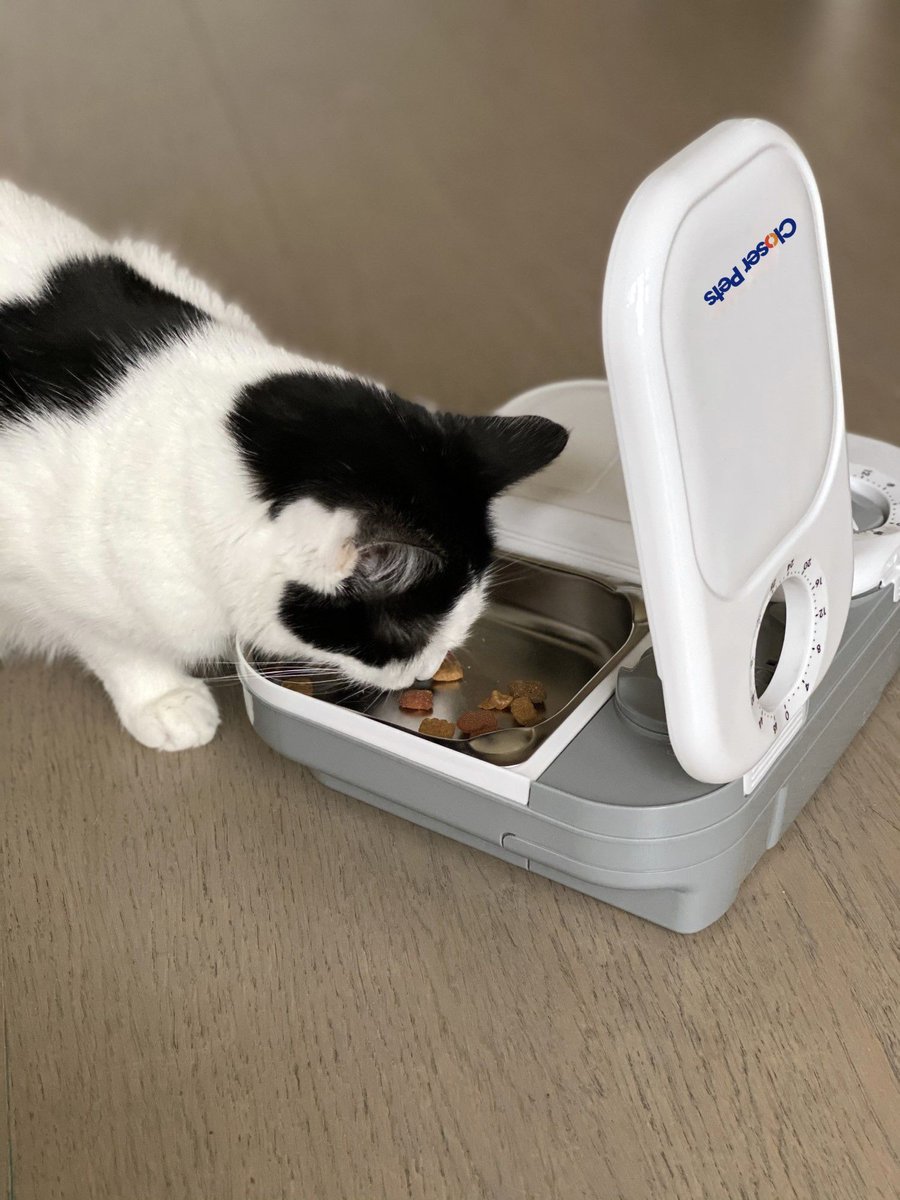 Closer Pets Two-meal Automatic Cat and Dog Feeder， White