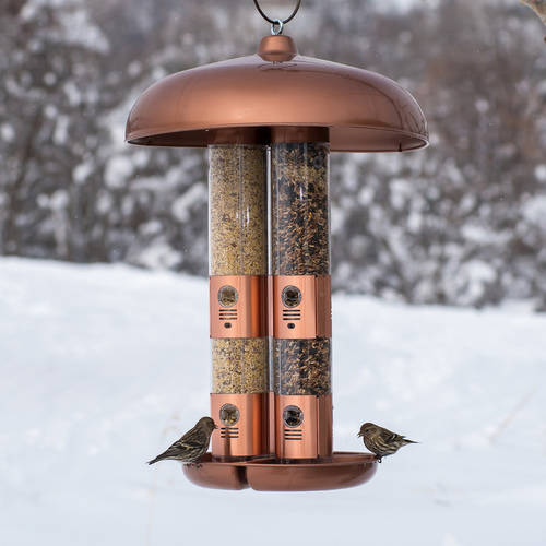 Perky-Pet 10 lb Copper Finish Triple Tube Bird Feeder