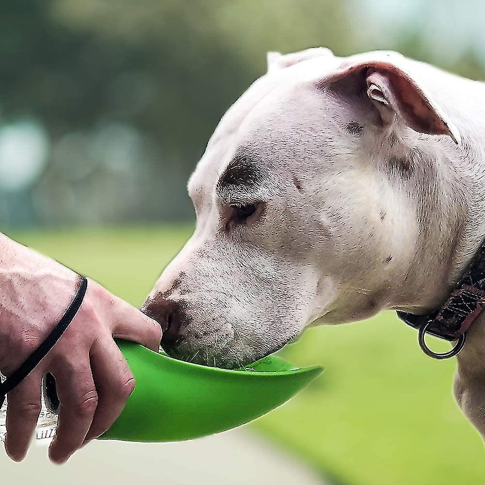 Fold A Bowl Portable Pet Water Bottle And Bowl Gift