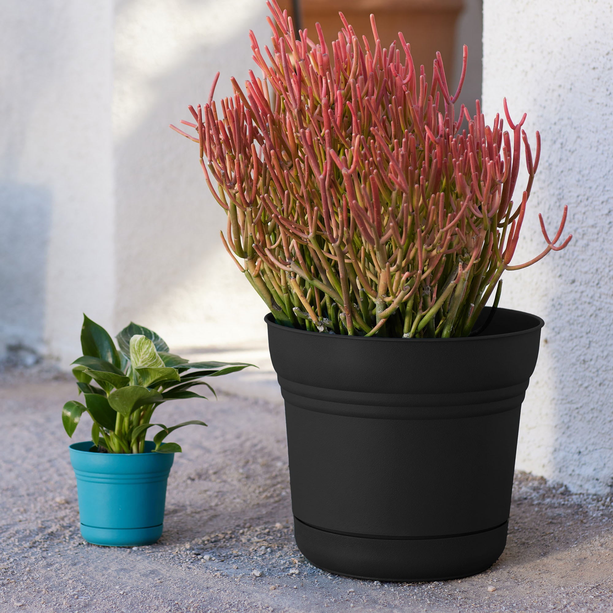 Bloem Saturn Round Planter With Saucer Tray: 14" - Black - Durable Plastic Pot, Matte Finish, Removable Saucer, For Indoor & Outdoor Use, Gardening, 5 Gallon Capacity