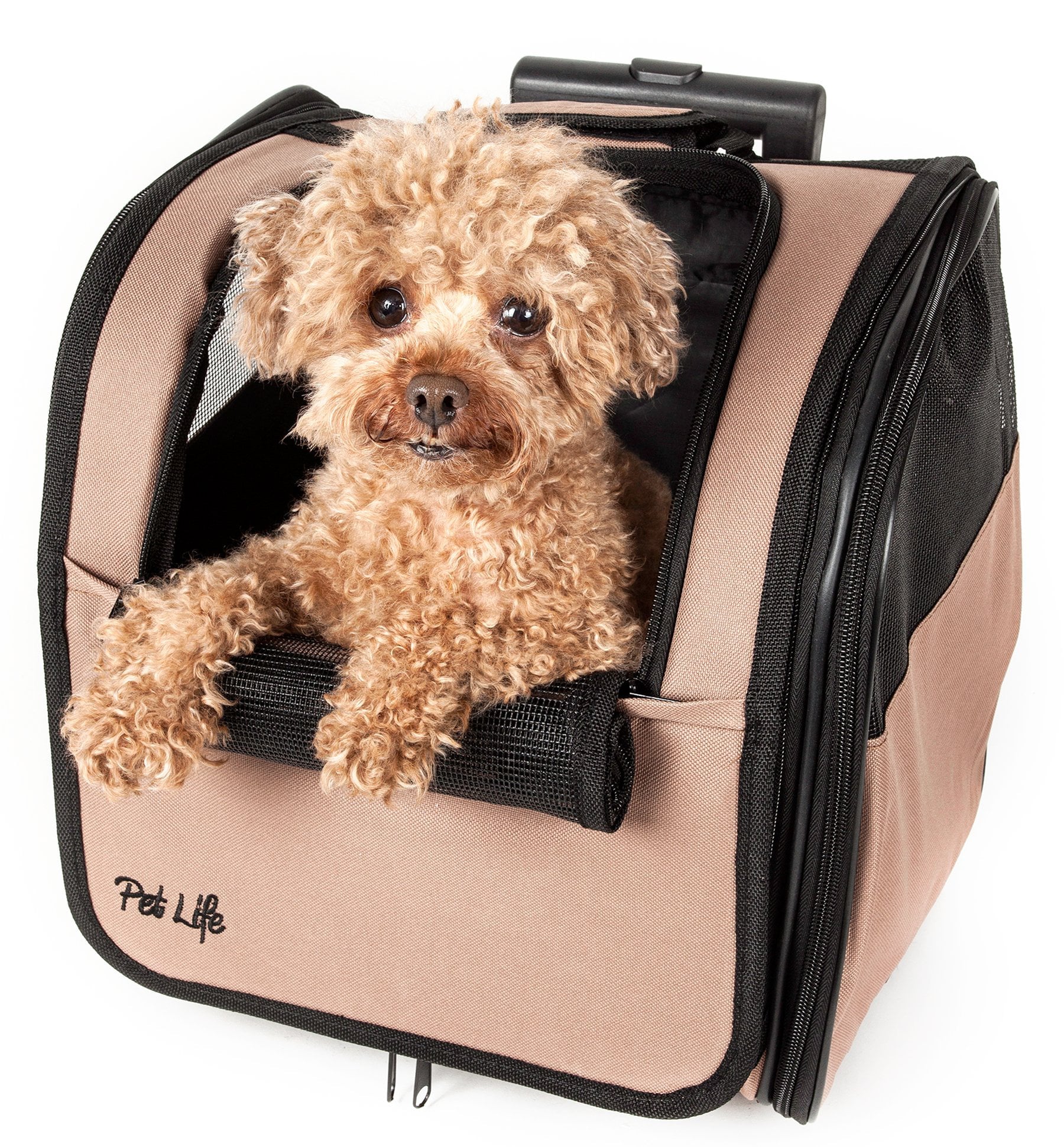 Pet Life ® 'Pawdon Me ' Wheeled Airline Approved Travel Collapsible Pet Dog Carrier