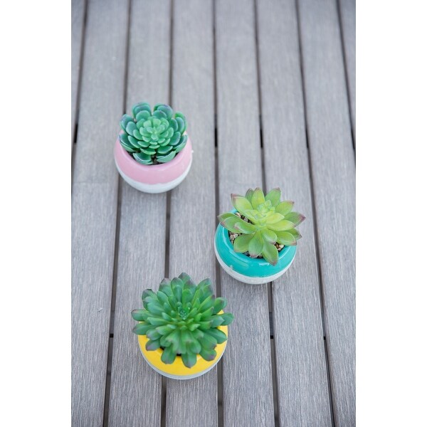 Succulent in Two tone lines pattern ceramic pot ，Teal