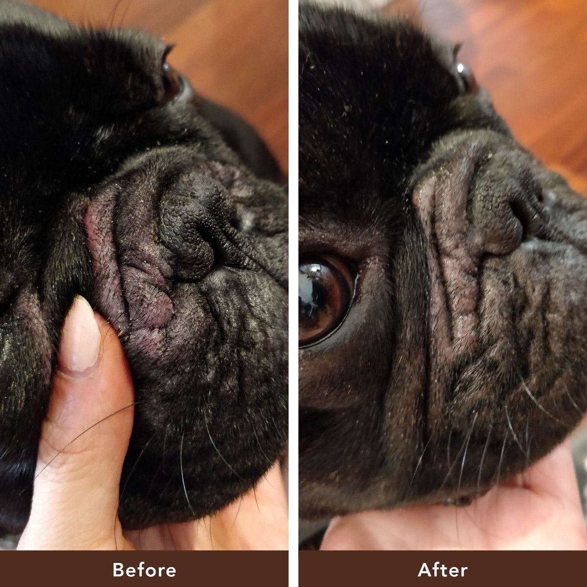 Natural Dog Company Dog Wrinkle Balm