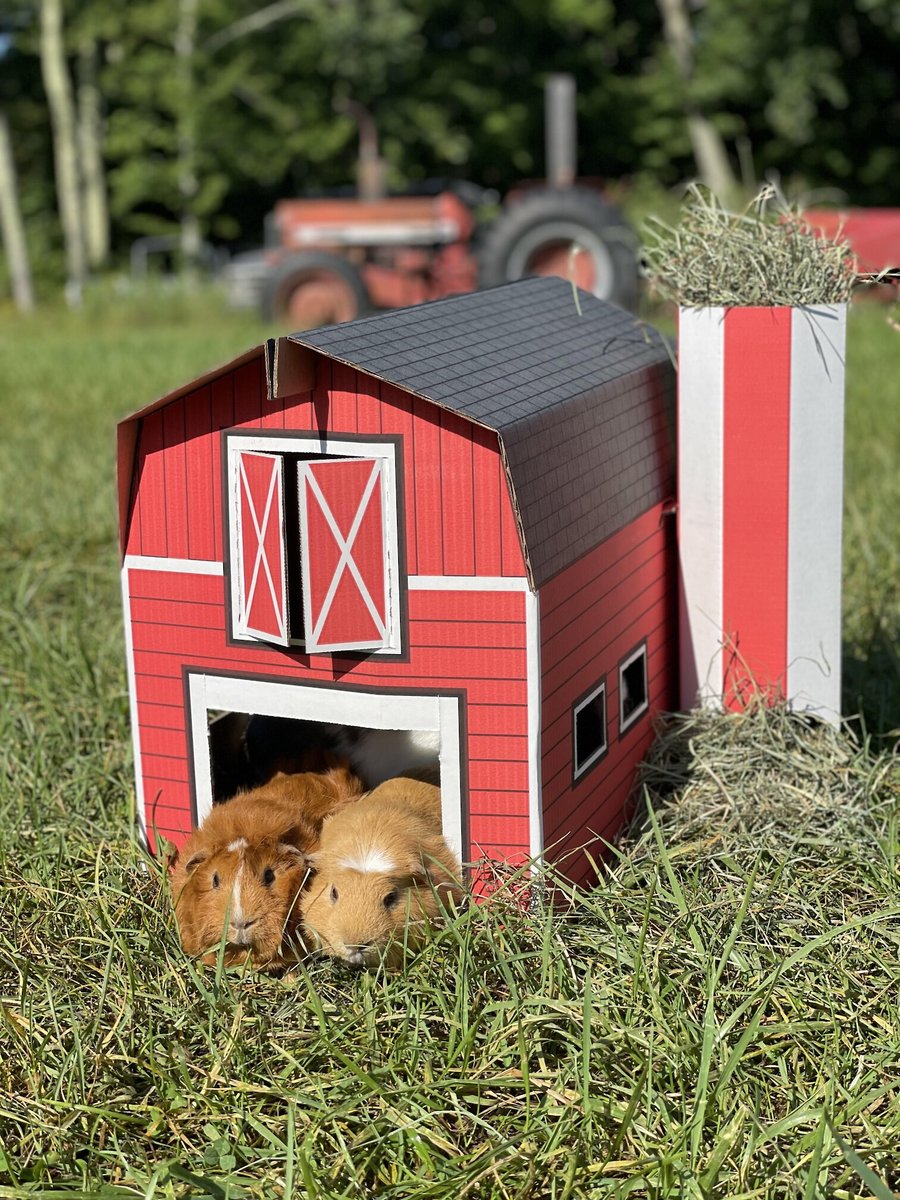 Sweet Meadow Farm Buddy Barn Small Pet Hideout