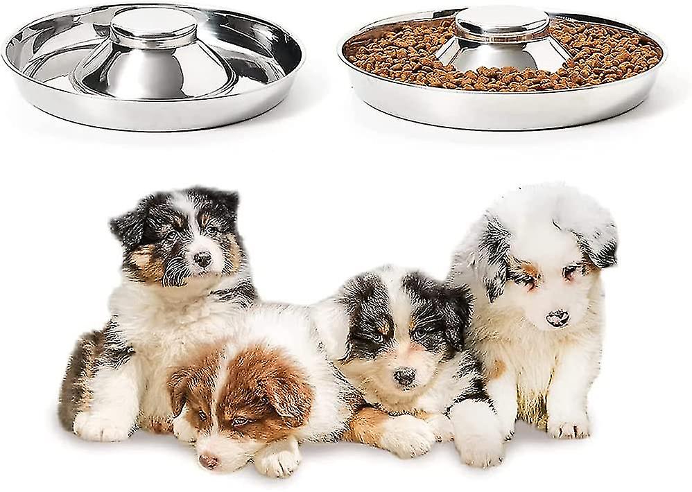 Puppy Bowl， Stainless Steel Dog Bowl， Puppy Feeding Bowl， Slow Feeding Bowl