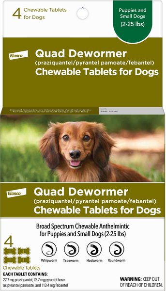 Elanco Quad Dewormer for Hookworms， Roundworms， Tapeworms and Whipworms for Small Breed Dogs