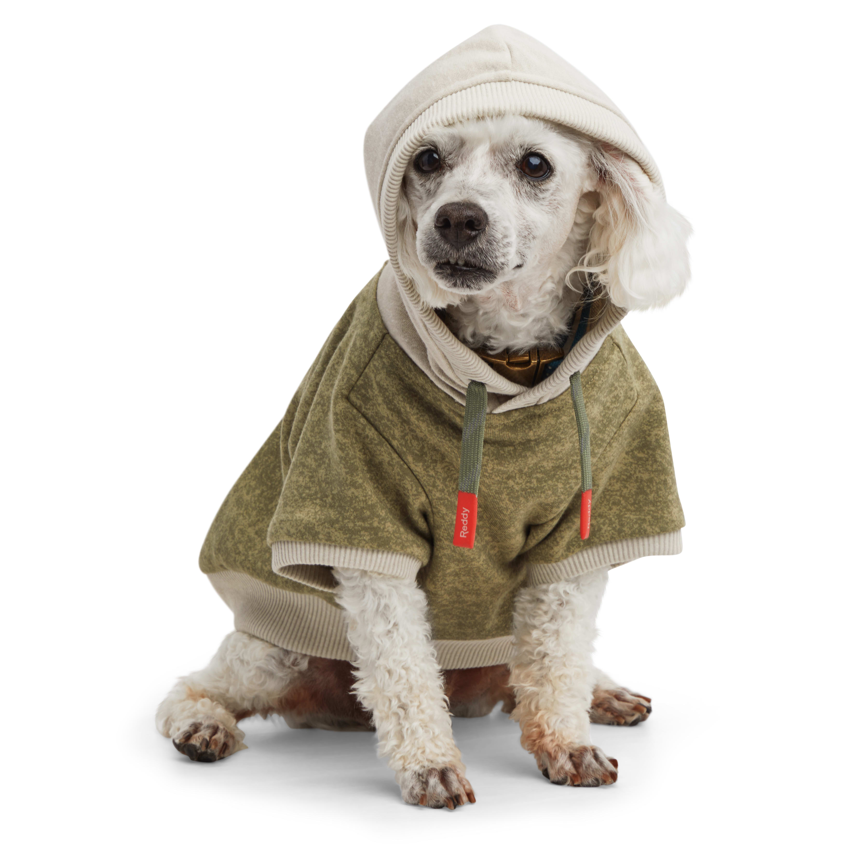 Reddy Olive and Grey Washed Dog Hoodie， X-Small