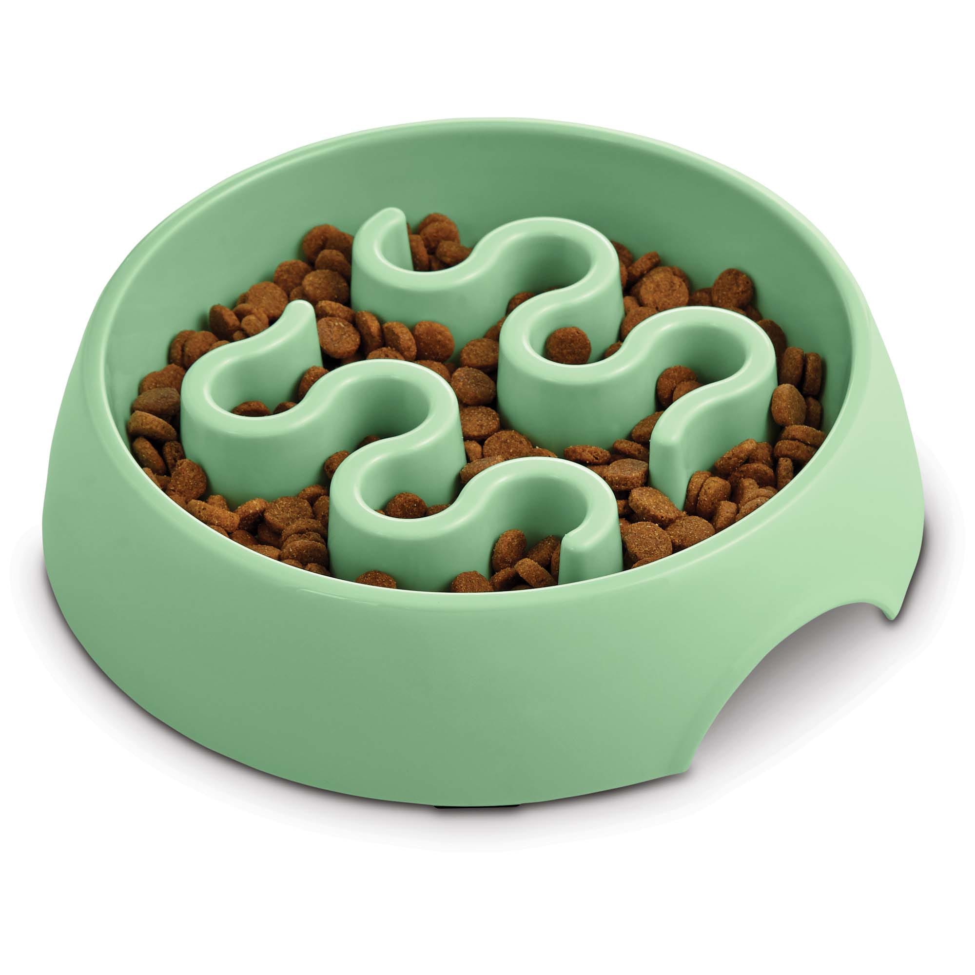 Harmony Mint Plastic Slow Feeder Dog Bowl， Large