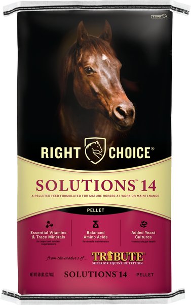 Right Choice Solutions 14 Horse Feed