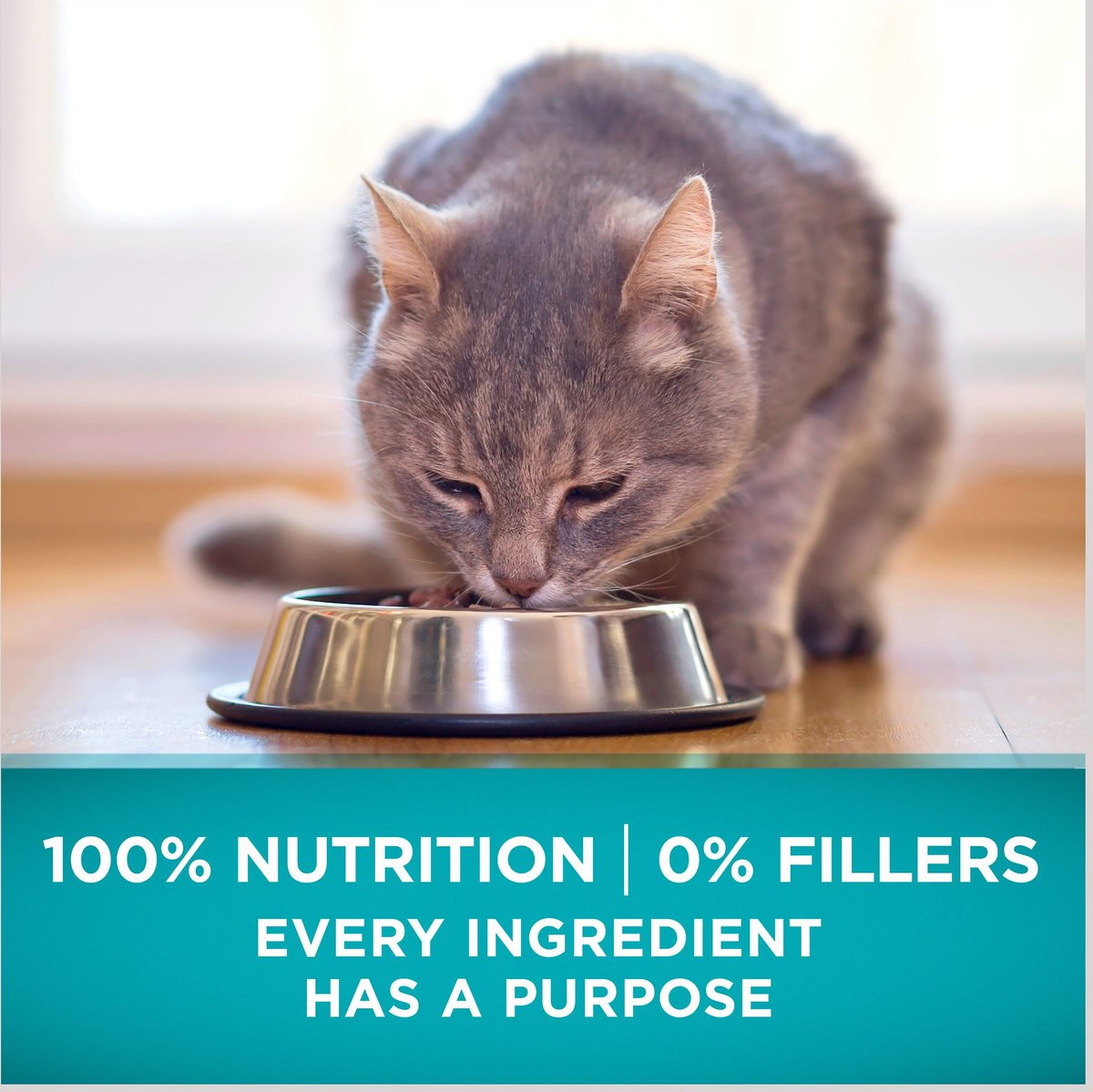 Purina ONE True Instinct Natural Grain-Free with Ocean Whitefish High Protein Dry Cat Food