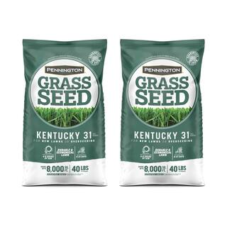 Pennington Kentucky 3140 lbs. Tall Fescue Penkoted Grass Seed (2-Pack) 100537715