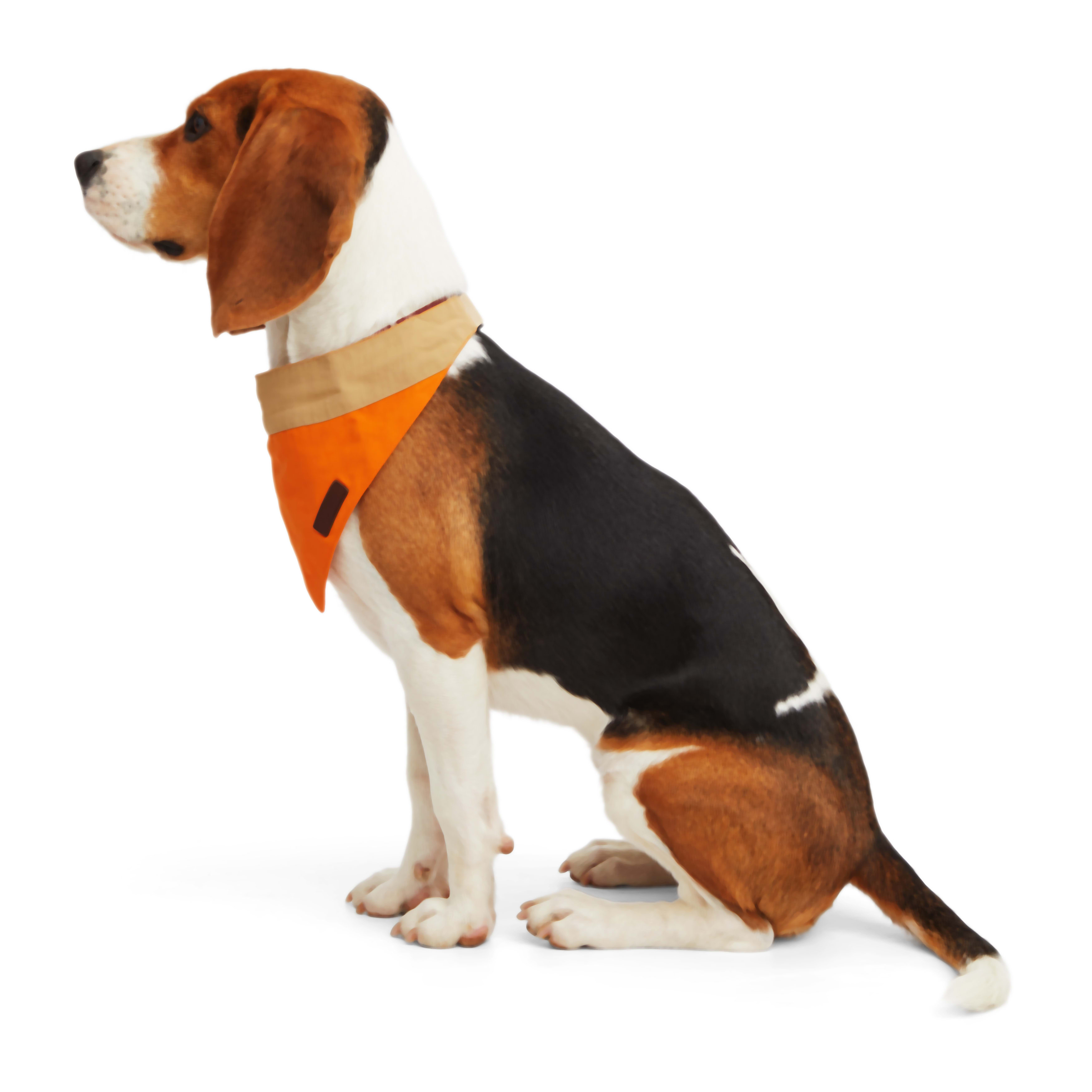 Reddy Tan and Orange Colorblock Dog Bandana， X-Small/Small