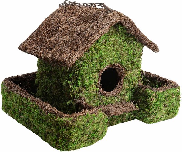 Galapagos Plantable Maison Patio Birdhouse， Fresh Green