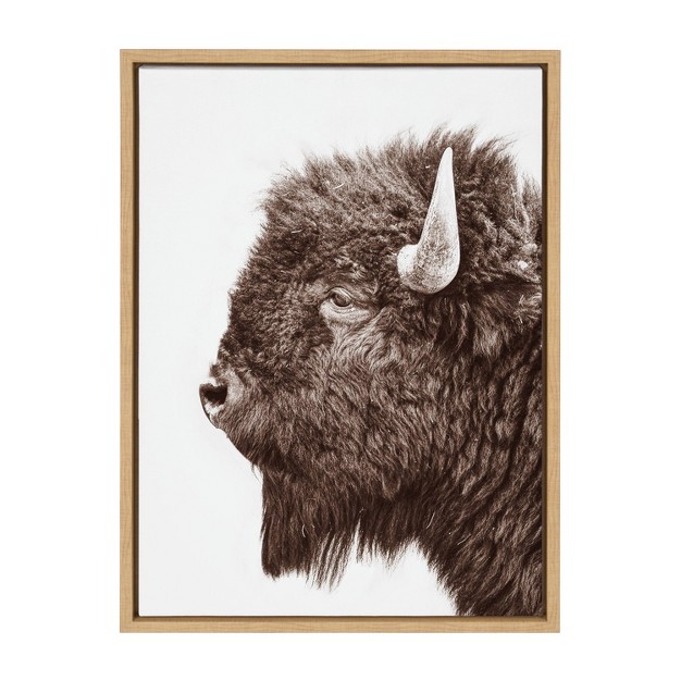 X 24 quot Sylvie Bison Profile Framed Canvas By Amy Peterson Art Studio Natural Kate amp Laurel All Things Decor