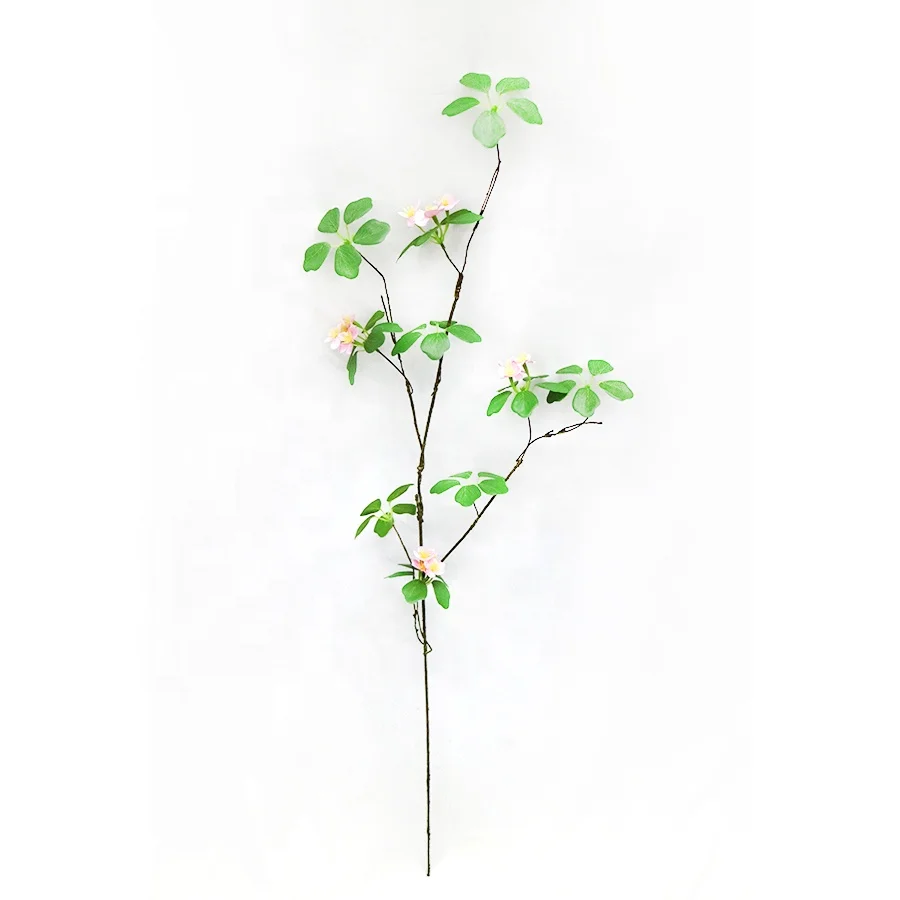 Good quality 90cm long ficus deltoidea spray ficus deltoidea stem with flowers