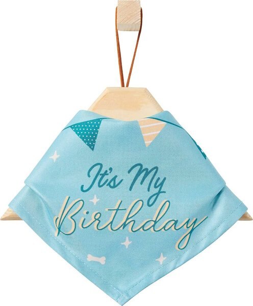 Frisco It's My Birthday Dog and Cat Bandana， Blue