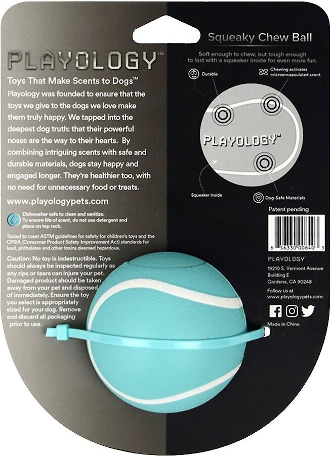 Playology Scented Squeaky Chew Ball Dog Toy