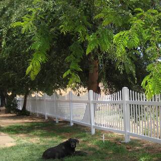 Weatherables Stratford 3 ft. H x 8 ft. W White Vinyl Picket Fence Panel Kit PWPI-1.5SC-3X8