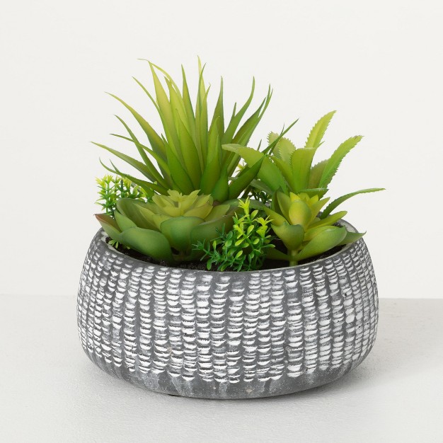 Sullivans Artificial Succulent In Cement Planter 6 quot h Green