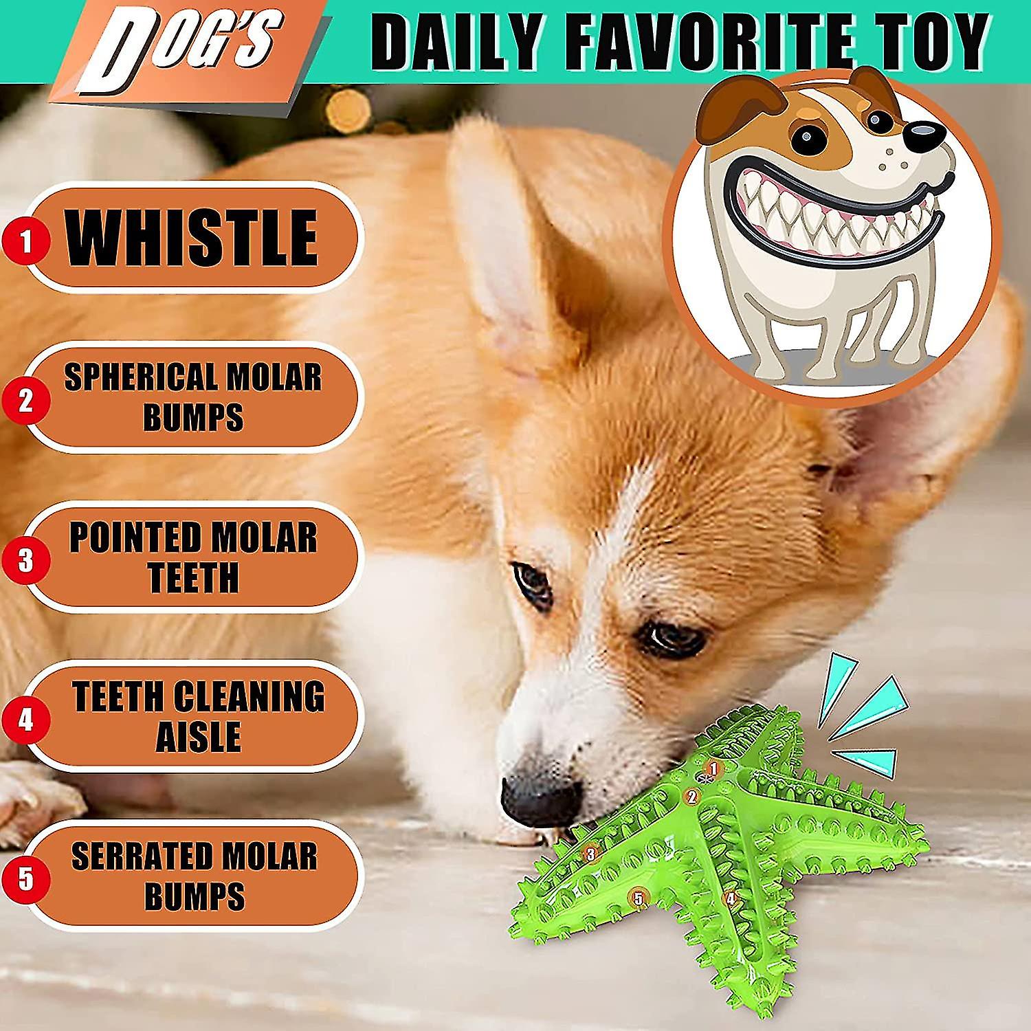 Dog Toothbrush Dog Chew Toy Bite Resistant Teeth Cleaning Stick Tpr Sound Toy 2 Pcs