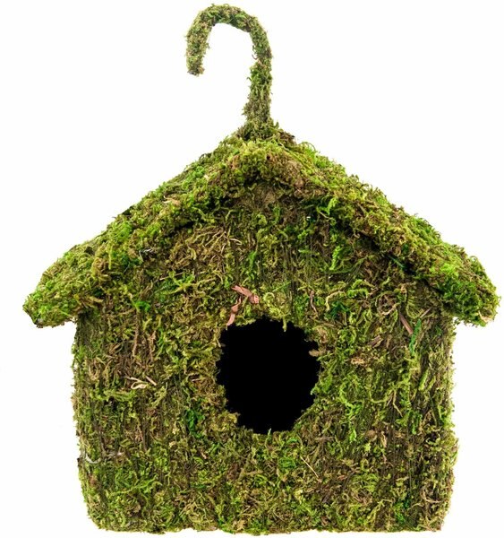 Galapagos Maison Deco Birdhouse， Fresh Green