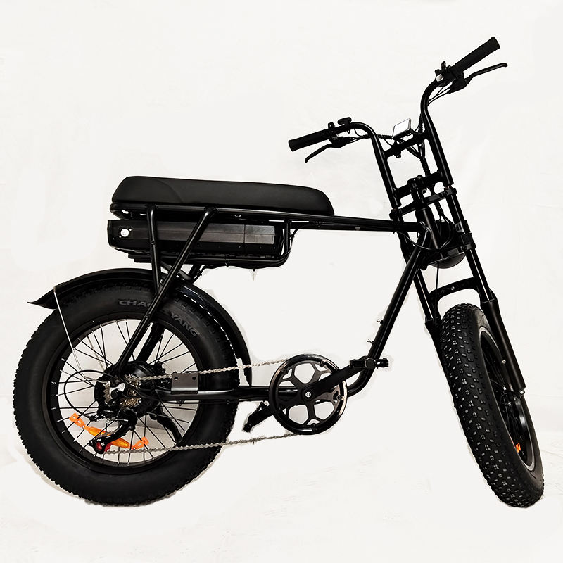 Eu Warehouse Full Suspension Retro 1000w Ebike E Fatbike Stealth Bomber 500w 750 Watt 20inch Fat Tire Electric Bike